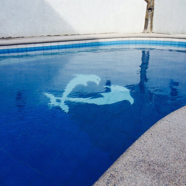 Грация дельфина. Грация дельфина майнкрафт эффект. Павлова маргарита александровна сосновый бор афалина плавание. Грация дельфина. Дельфинарий сочи плавание с дельфинами.