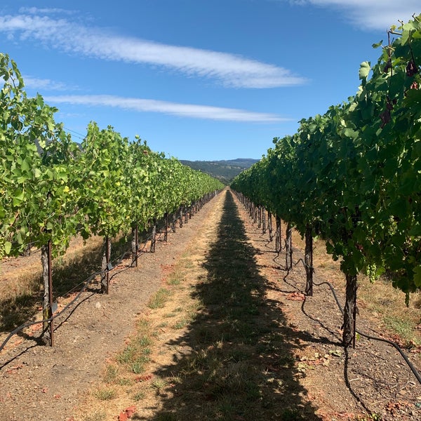 Photo prise au St. Francis Winery &amp; Vineyards par Ashley W. le8/10/2019