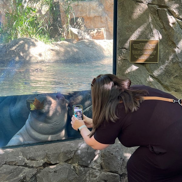 9/14/2023 tarihinde Alia G.ziyaretçi tarafından Cincinnati Zoo &amp; Botanical Garden'de çekilen fotoğraf
