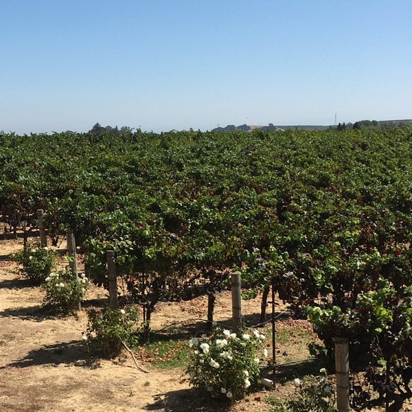 8/25/2017 tarihinde nemupmziyaretçi tarafından Kieu Hoang Winery'de çekilen fotoğraf