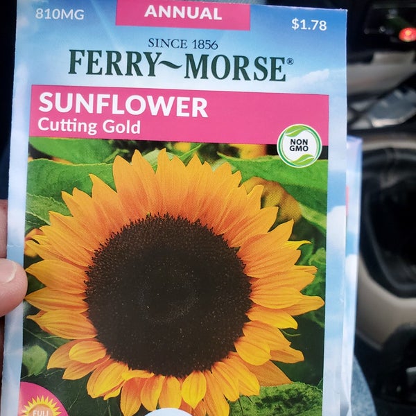 Lowe's Rochester, NY'da fotoğraflar