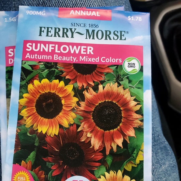 Lowe's Rochester, NY'da fotoğraflar