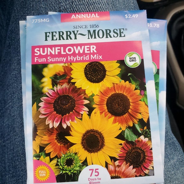 Lowe's Rochester, NY'da fotoğraflar