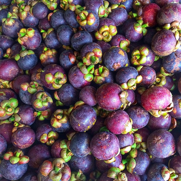 Fruit trading. Fruits trading. Golden Fruit trade Srbija. Trade Fruits LLC 108, Ohunqaynar.