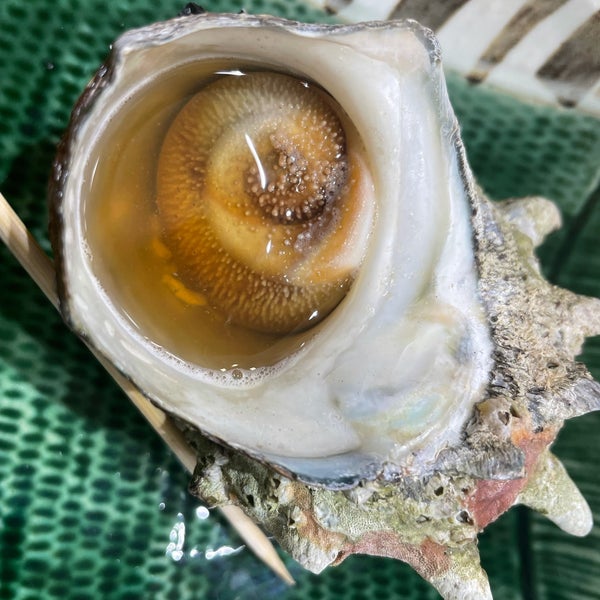 魚がし鮨 清水ドリームプラザ店 静岡市 静岡県