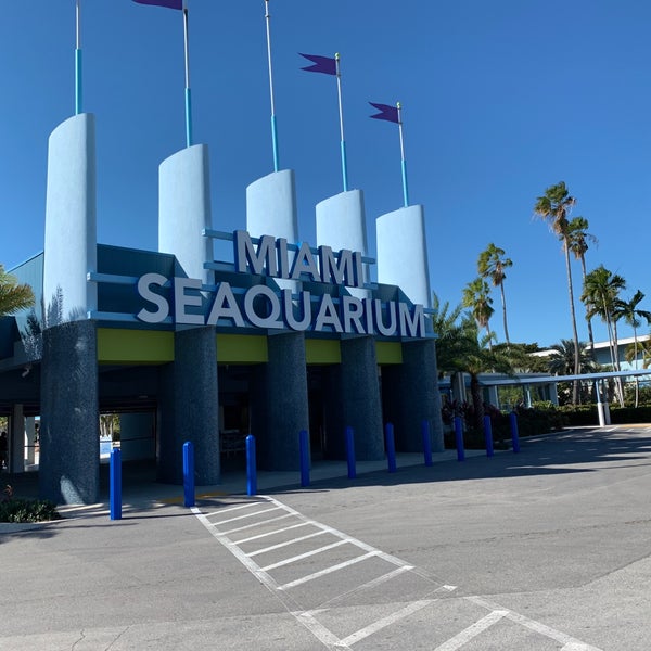 Das Foto wurde bei Miami Seaquarium von Chris am 1/22/2020 aufgenommen