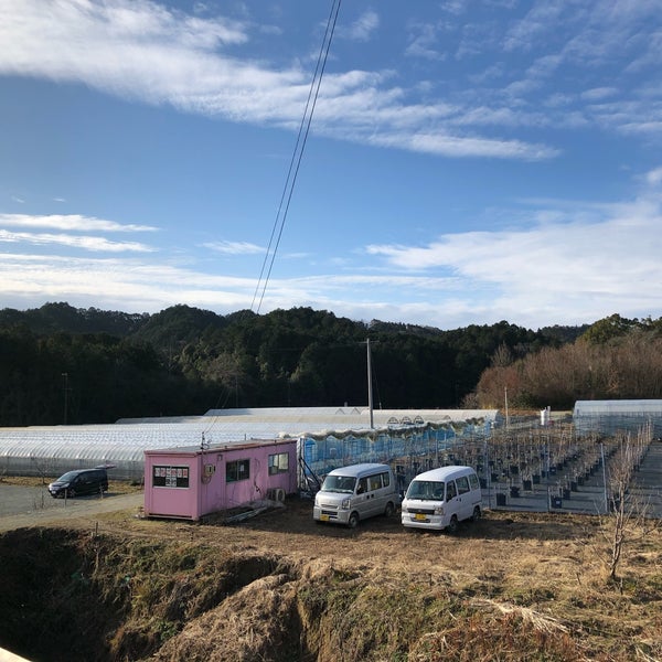 多気 いちご狩り 多気町 三重県 多気 いちご狩り 多気町 三重県