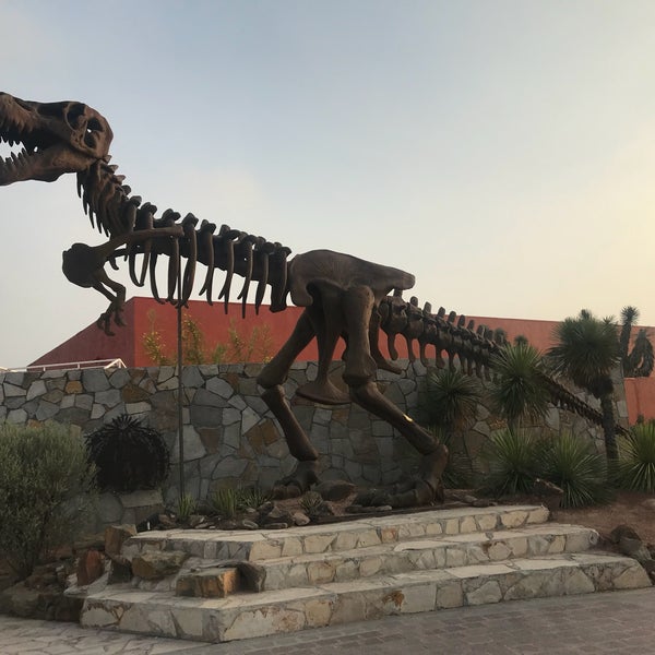 Photo taken at Museo del Desierto by Adolfo G. on 4/29/2018
