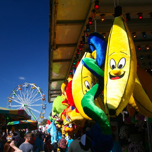 Durham Fair Fair in Durham