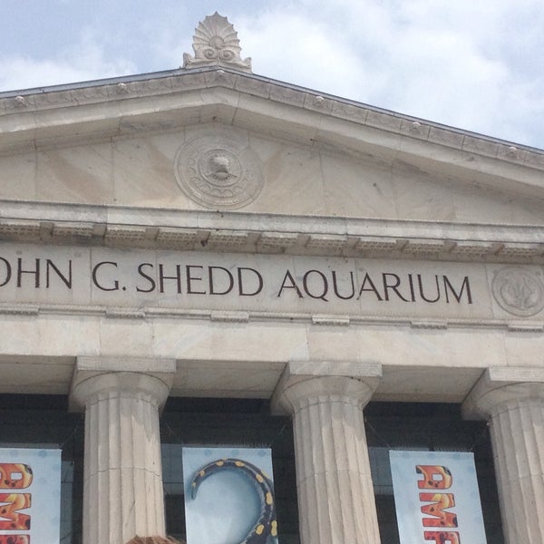 Foto scattata a Shedd Aquarium da Joseph G. il 7/24/2015