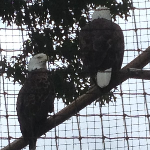 Das Foto wurde bei Cape May County Zoo Society von Joseph G. am 6/23/2015 aufgenommen