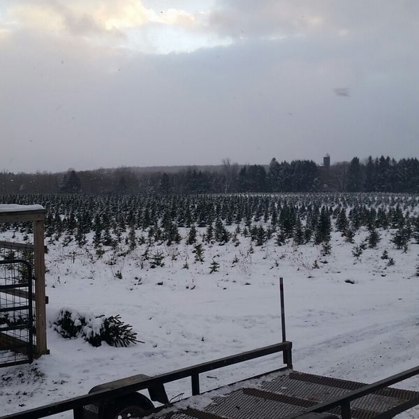 Granger's Christmas Tree Farm Farm
