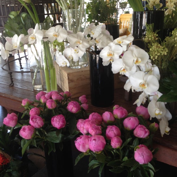 One of, if not the best, flower shops in Dallas.  If you like orchids, this is your spot.