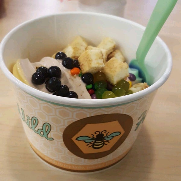 Wild Honey Frozen Yogurt Pensacola, FL