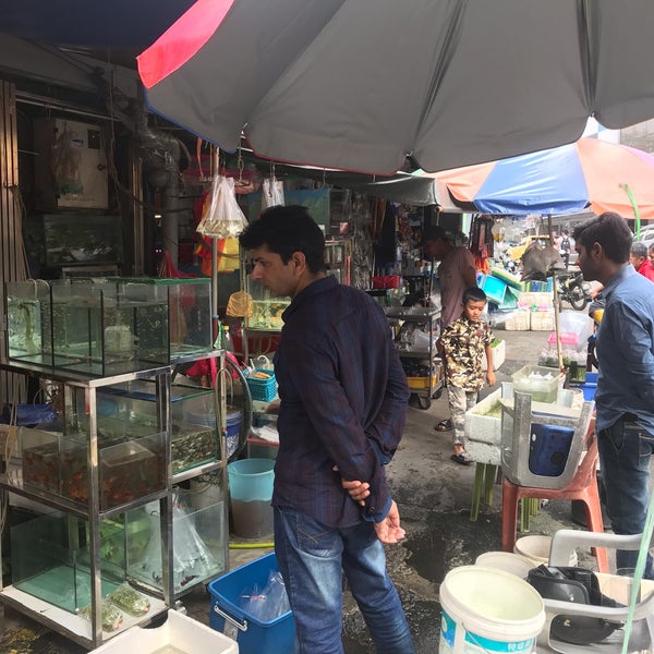 Kedai Akuarium Pudu Pet Store In Bukit Bintang
