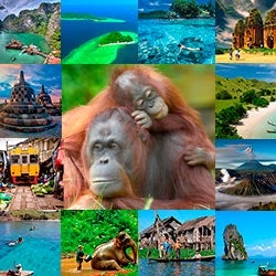 Lo mejor de Vietnam con dos días en Kuala Lumpur y la aventura por la selva de Borneo.