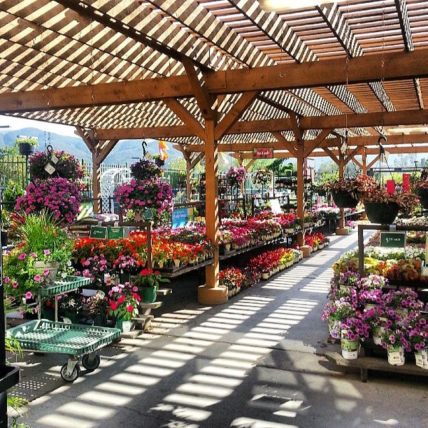 Armstrong Nursery Temecula Amazadesign