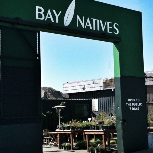 Foto tirada no(a) Bay Natives Nursery por Rosemarie M. em 7/22/2012