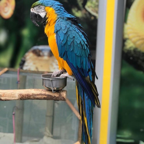 5/10/2018 tarihinde Mehmet G.ziyaretçi tarafından Wildpark Antalya'de çekilen fotoğraf