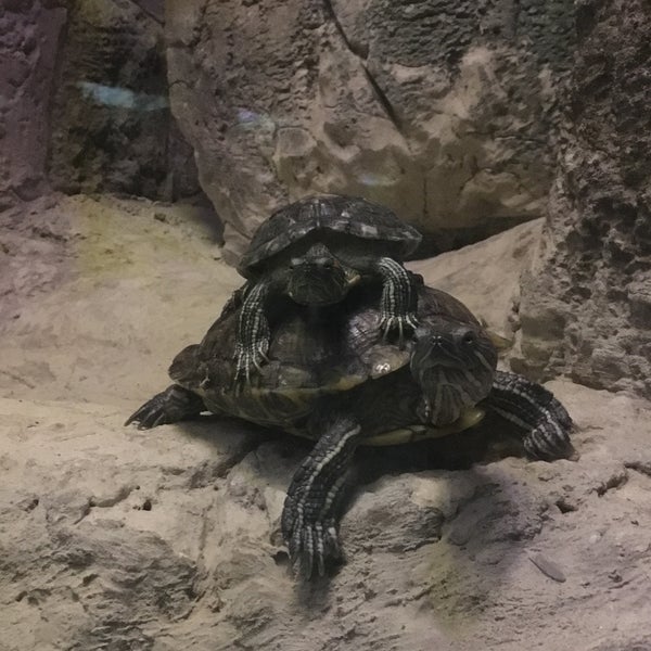 Das Foto wurde bei Wildpark Antalya von Mehmet G. am 5/6/2018 aufgenommen