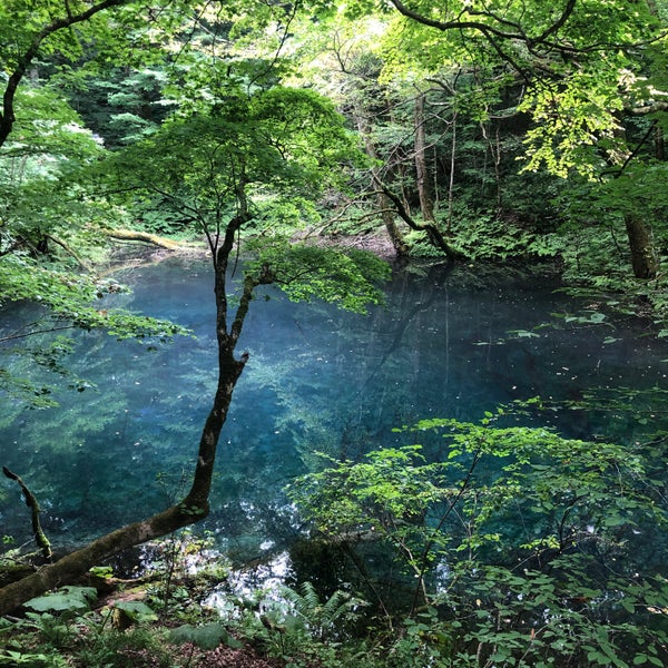 沸壺の池 Lake In 深浦町 沸壺の池 Lake In 深浦町