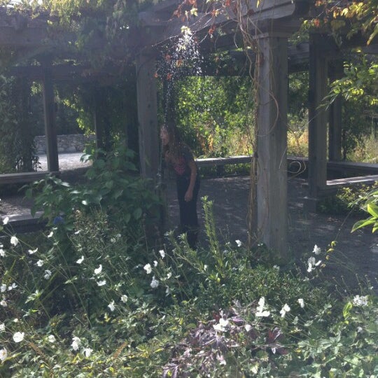 Photo taken at Quarryhill Botanical Garden by Kathleen M. on 10/21/2012