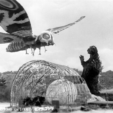 #Godzilla vs. #Mothra @OY! - 8pm on #Plankwood; if you dare to witness a cunning and intricate game of giant lizard and radioactive insect.