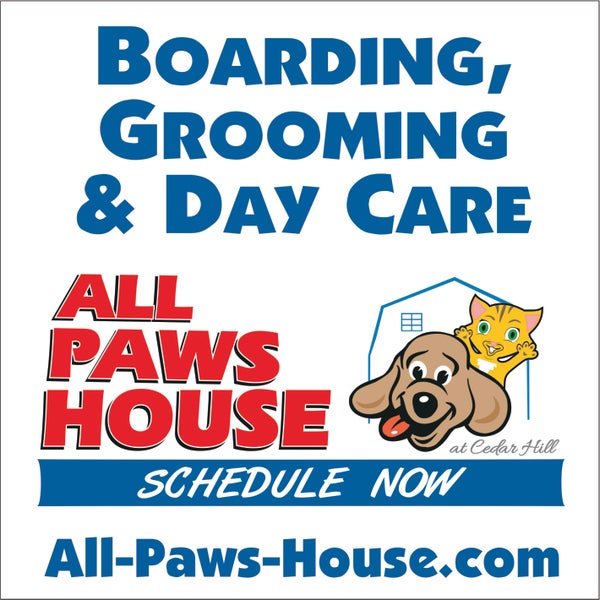 all paws dog grooming