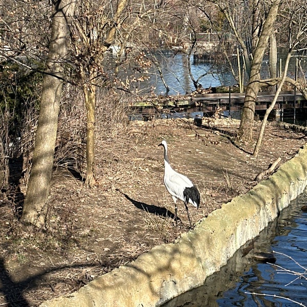 Foto scattata a Cincinnati Zoo &amp; Botanical Garden da Jane P. il 12/27/2023