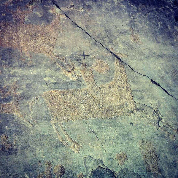 Parco Nazionale Delle Incisioni Rupestri Di Naquane Museo di storia