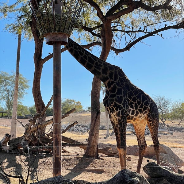 Foto scattata a Phoenix Zoo da Chris D. il 1/16/2021