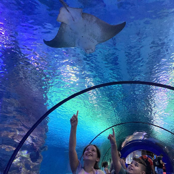 Foto diambil di Antalya Aquarium oleh Hadia G. pada 9/30/2022