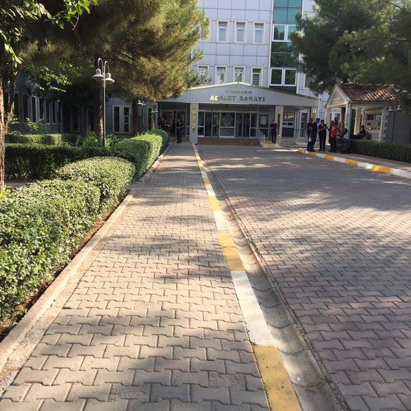 ah kalbim 203 bölüm izle kedilerin midesi neden bulanır