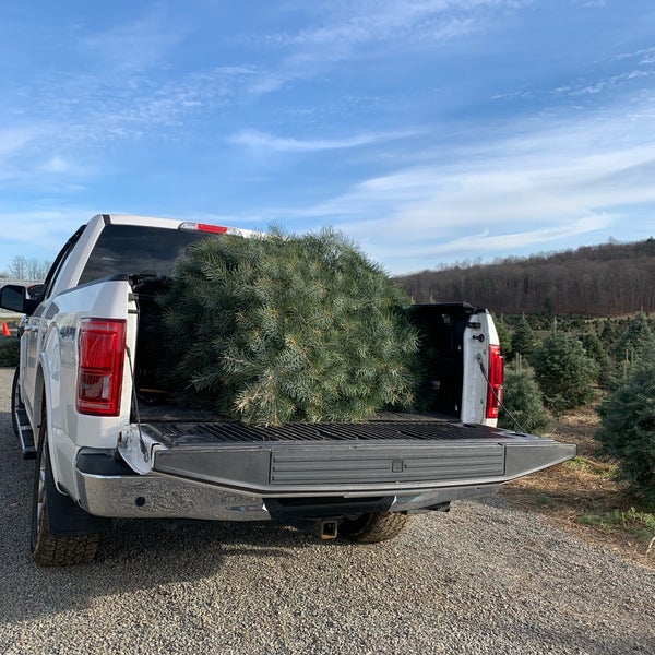 Battenfeld's Christmas Tree Farm Rhinebeck, NY