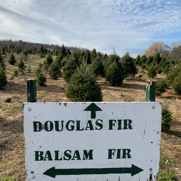 Battenfeld's Christmas Tree Farm Rhinebeck, NY