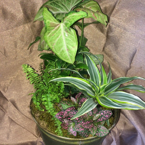 Donna's Flowers Tahlequah, OK