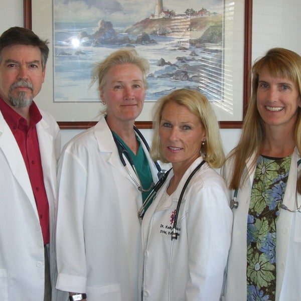 veterinary specialists & emergency service