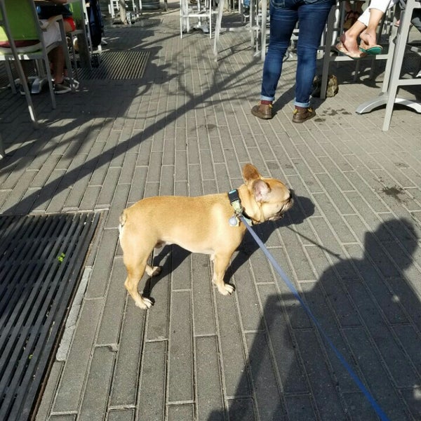 Herschel Lofts Warehouse District 748 N 3rd St