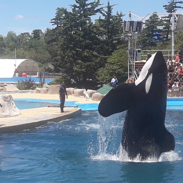 Mundo Marino Aquarium in San Clemente del Tuyú