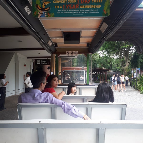 8/8/2019에 Joy님이 Jurong Bird Park에서 찍은 사진