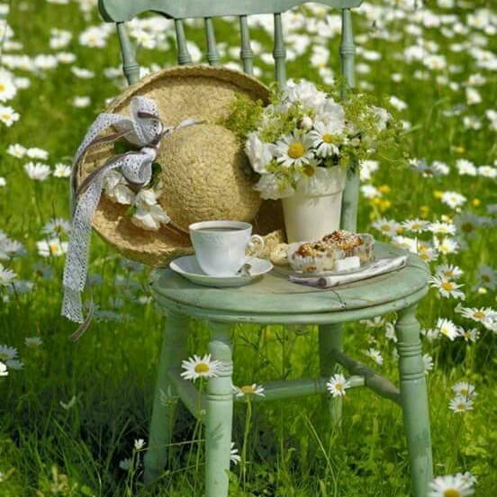 solmazer mutfak esyalari da fotograflar