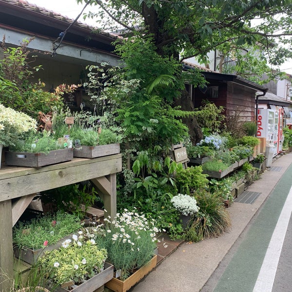 草花屋 苔丸 鎌倉市 神奈川県