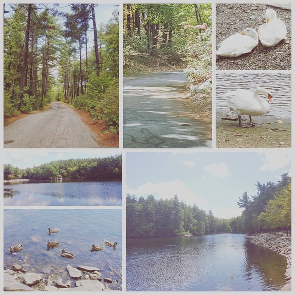 Coggshall Park 250 ziyaretçidan 3 tavsiye