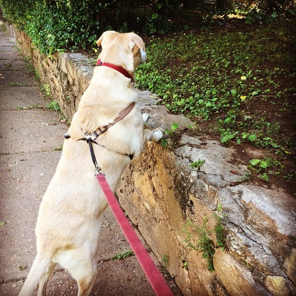 Photos at Ormewood Park Ormewood Park 5 tips