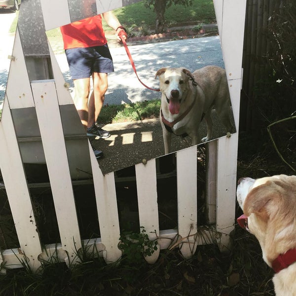 Ormewood Park Ormewood Park 5 tips