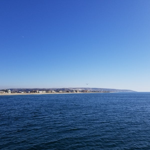 The Tin Fish 1 Pier Plaza