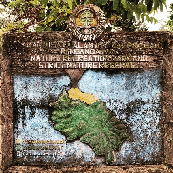 Photos At Taman Wisata Dan Cagar Alam Pangandaran Nature Photos At Taman Wisata Dan Cagar Alam Pangandaran Nature
