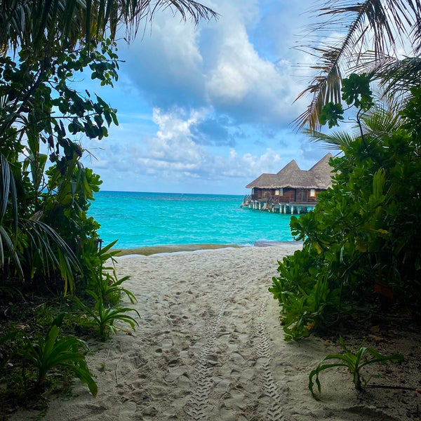 Coco Palm Dhuni Kolhu