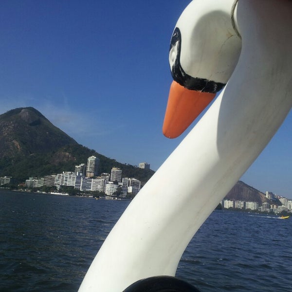 Fotos em Lagoa Rodrigo de Freitas - Lagoa - 662 dicas