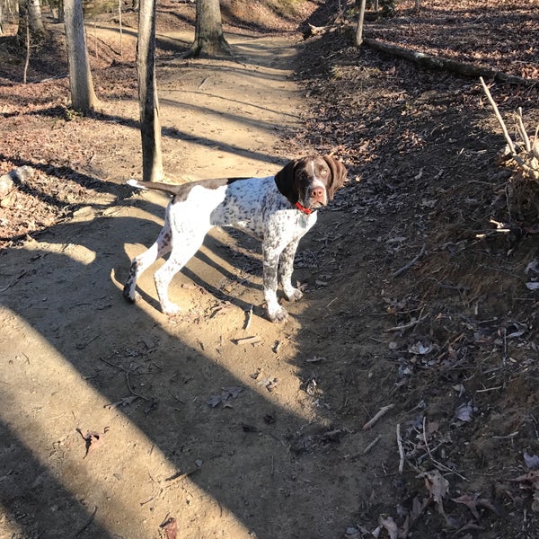 Das Foto wurde bei Anne Springs Close Greenway von Cait D. am 2/19/2017 aufgenommen